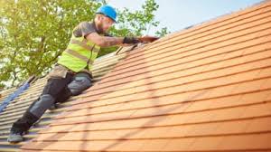 Best Roof Moss and Algae Removal  in Westchester, IL